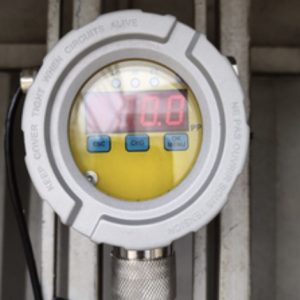 Fixed Gas Detector1